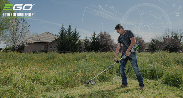 Simple summer lawn tips for neat lawns and wildlife